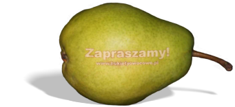 Gruszka z Logo